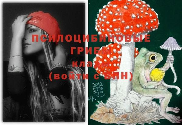 крисы Алексеевка