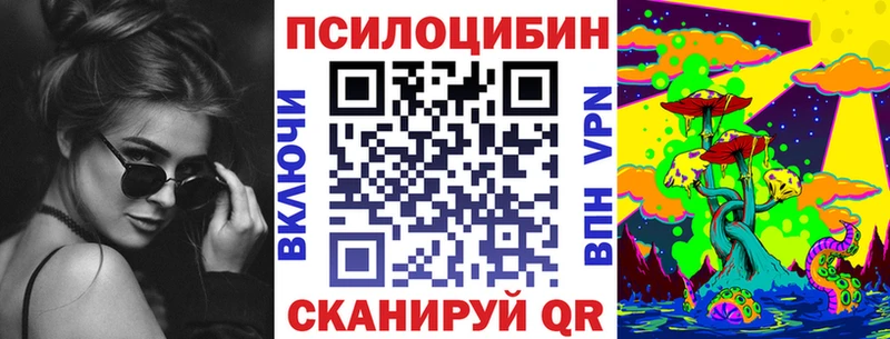 OMG маркетплейс  Красноуфимск  Псилоцибиновые грибы мицелий 